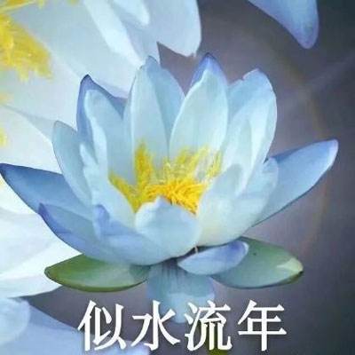 《中华优秀传统文化蕴含的全人类共同价值》出版发行