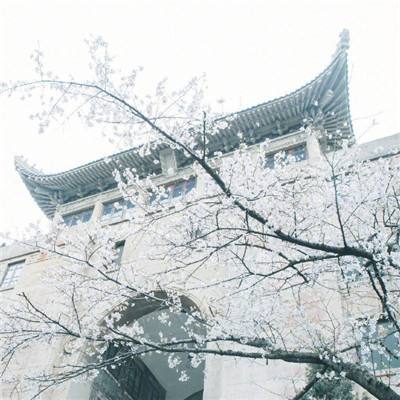 重庆巫山：一江碧水满山“雪”